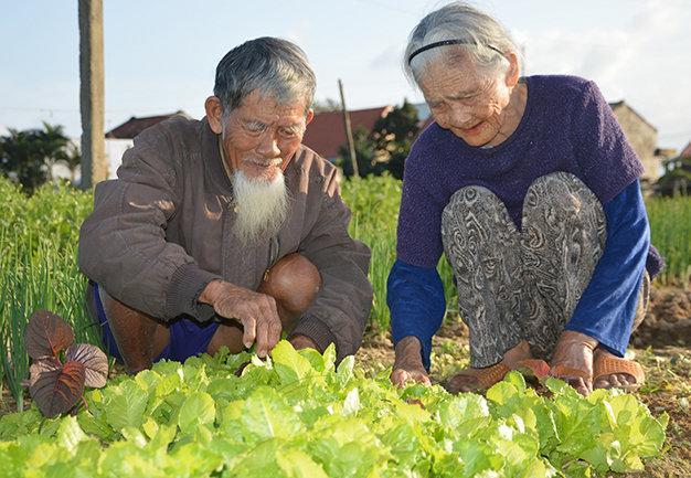 Green House Homestay Hội An Buitenkant foto